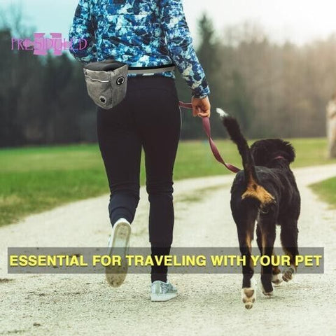 Durable Puppy Pet Dog Treat Obedience Training Pouch Snack Bag +Leash