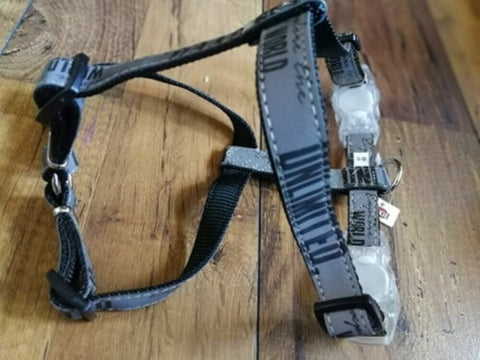 Non Pull Dog Walking Harness