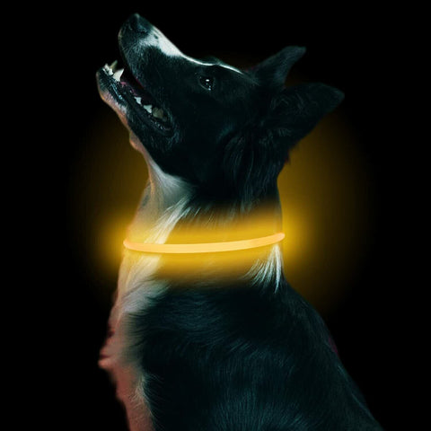 Waterproof USB Led Collar