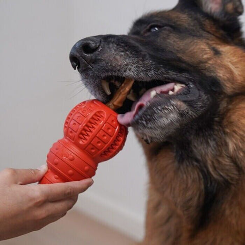 Indestructible Dog Chew Toy