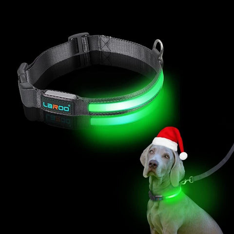 Dog Rechargeable LED Collar