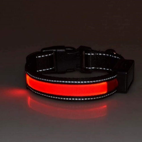 Dog Rechargeable LED Collar