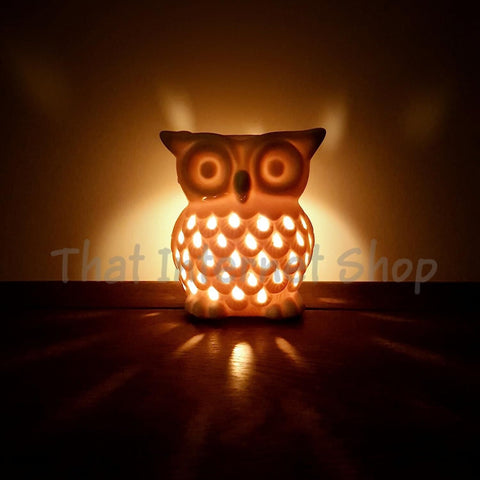 Owl Ceramic Wax Melt Oil Burner