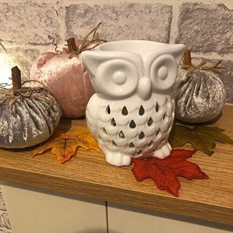 Owl Ceramic Wax Melt Oil Burner