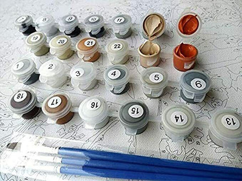 DIY Oil Painting Kit Paint By Numbers