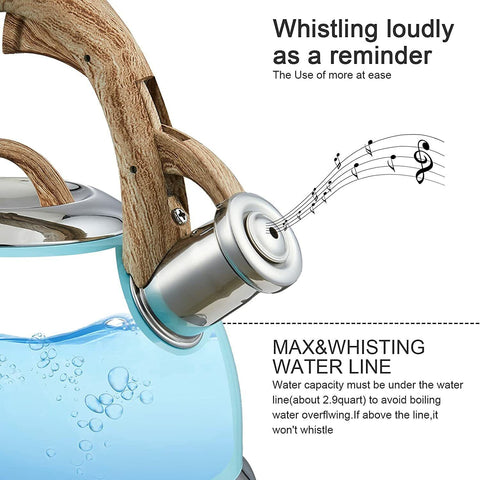 2.9 L Stainless Steel Whistling Kettle