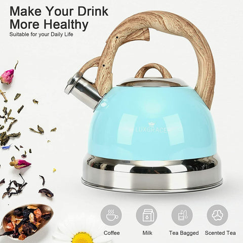 2.9 L Stainless Steel Whistling Kettle