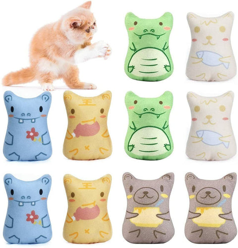 10 Pcs Cat Catnip Toys