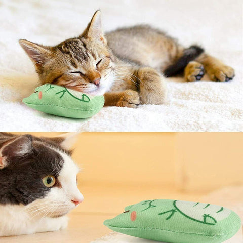 10 Pcs Cat Catnip Toys