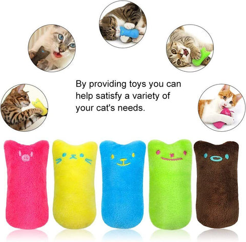 Catnip Cat Toy