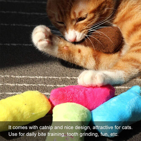 Catnip Cat Toy