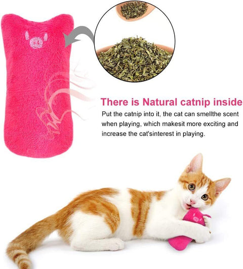 Catnip Cat Toy