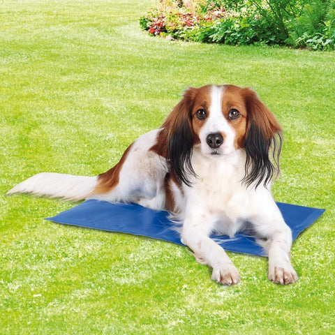 Dog Cooling Mat