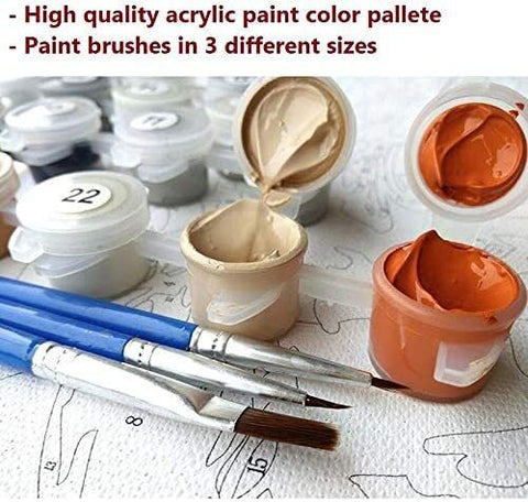 DIY Oil Painting Kit Paint By Numbers