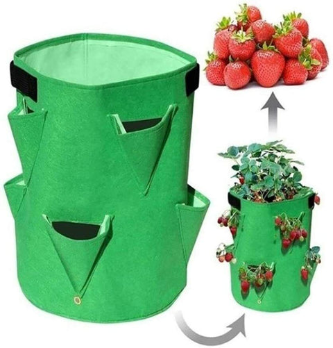 Strawberry Plant Grow Bag