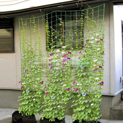 Nylon Plant Grow Fence Net