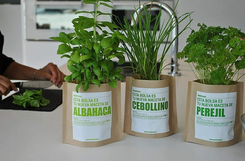 Oregano Seed Growing Bag