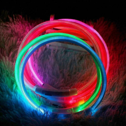 USB Rechargeable LED Collar